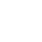 aleppo vet png